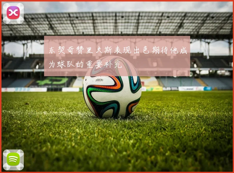东契奇赞里夫斯表现出色期待他成为球队的重要补充